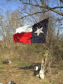 9th Texas colors.jpg (137166 bytes)